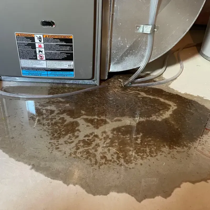 Appliance Leak Cleanup in Lakewood, IL